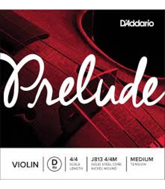 D'Addario J813 4/4M