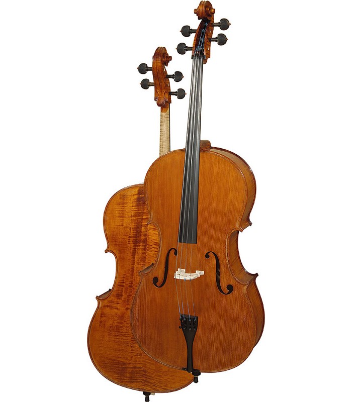 Hora Professional Symphony Violončelo C300