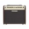 Fishman Loudbox Mini 